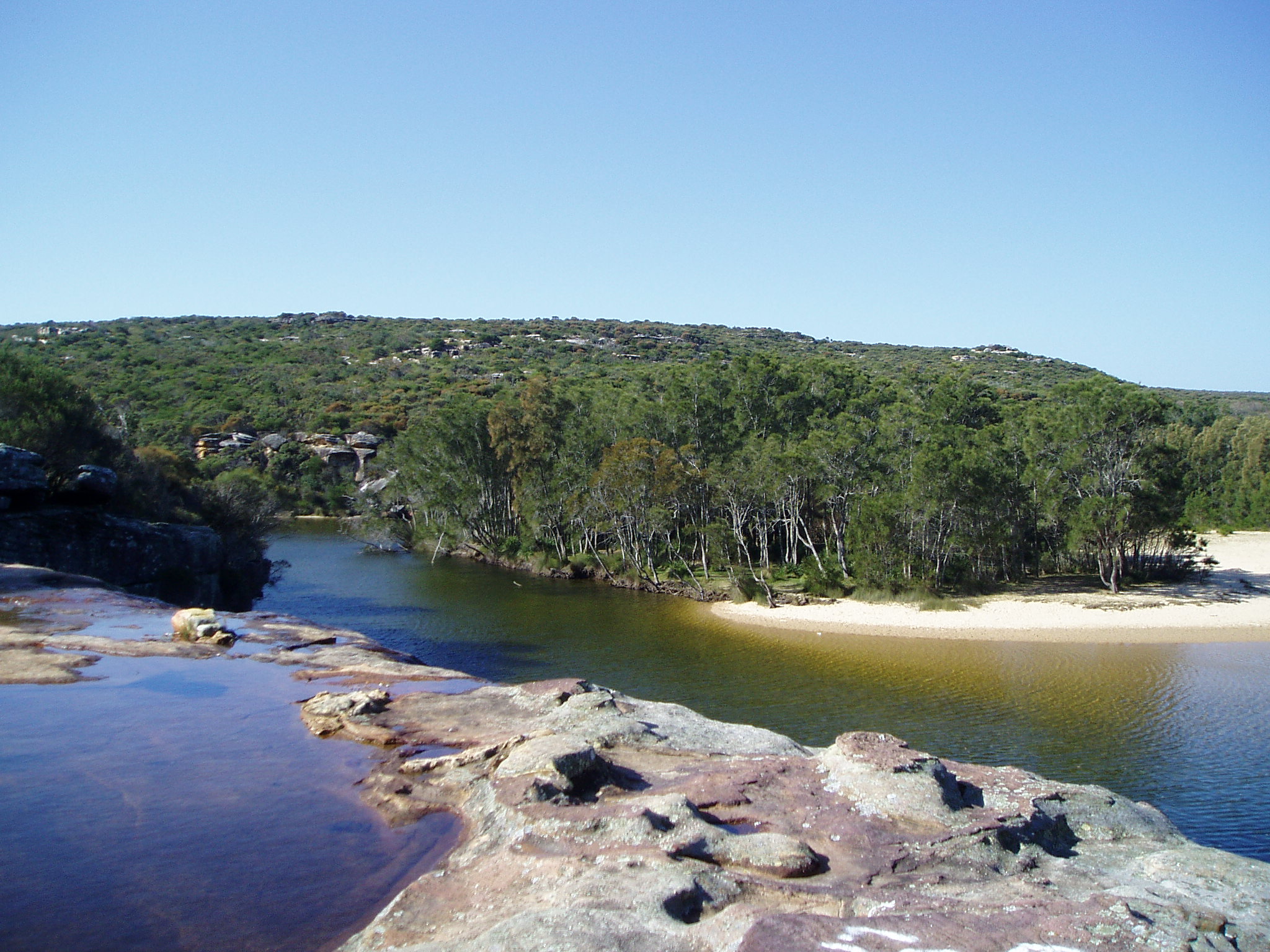 Royal National Park is one of the most beautiful tourist attraction is Sydney.