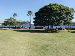 Pyrmont Point Park is a good place in Sydney to just relax and enjoy the view.