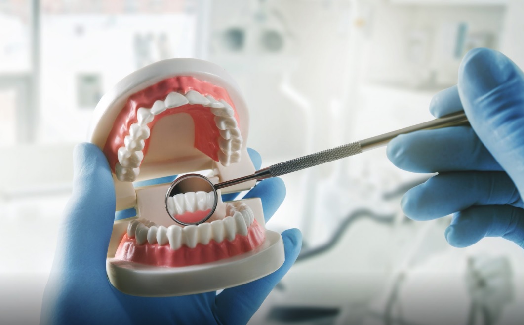 Your First Dental Visit: Assessment and Next Steps